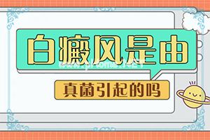 「新要闻」皮肤白斑治疗「搞事情」白斑怎么治疗更好